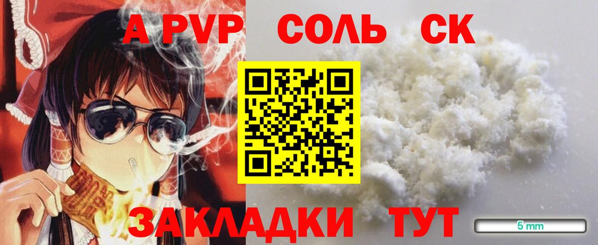 A PVP СК Шадринск