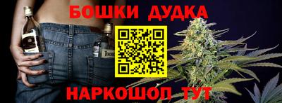 мдпв Рузаевка