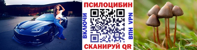 hydra онион  Шадринск  Галлюциногенные грибы Psilocybe 